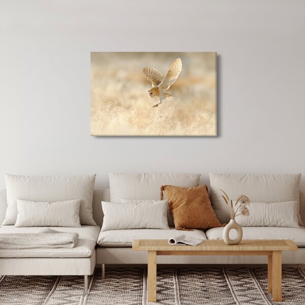 Slika - Sova (90x60 cm)