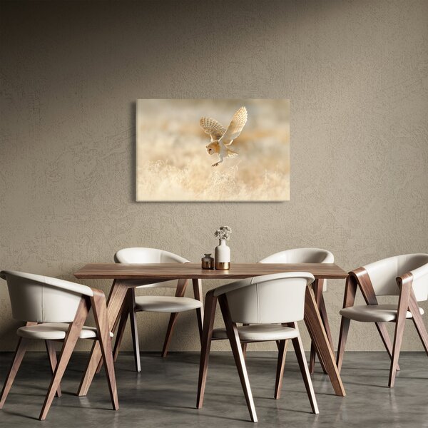 Slika - Sova (90x60 cm)