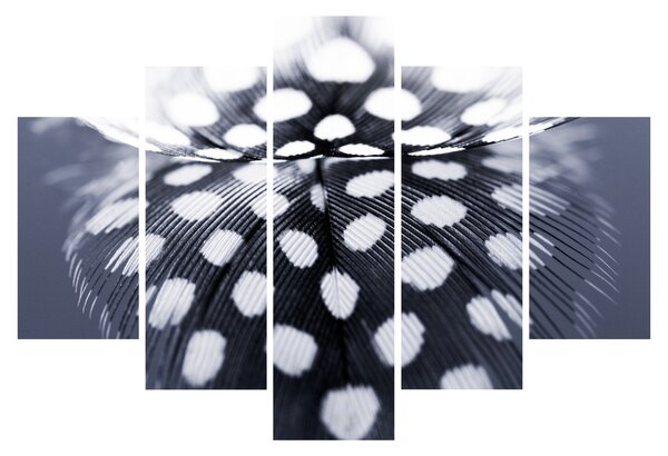 Slika - Perce (150x105 cm)