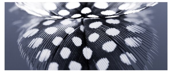 Slika - Perce (120x50 cm)