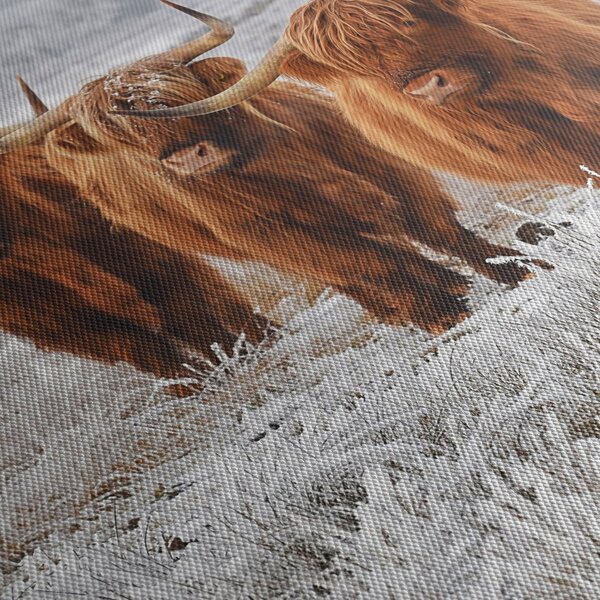 Slika - Škotske krave (150x105 cm)