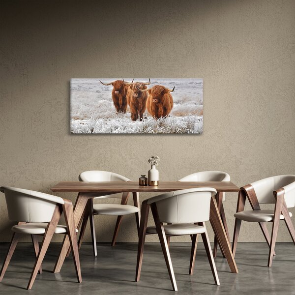 Slika - Škotske krave (120x50 cm)