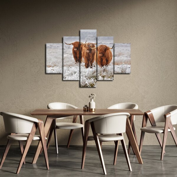 Slika - Škotske krave (150x105 cm)