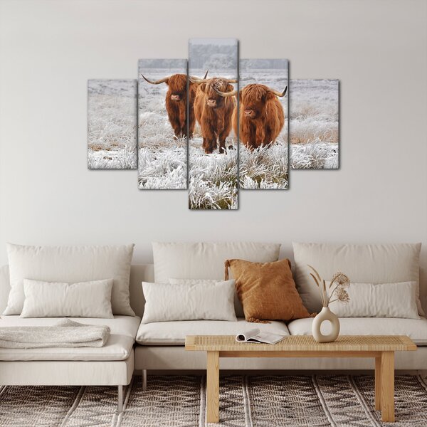 Slika - Škotske krave (150x105 cm)