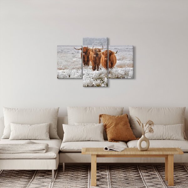 Slika - Škotske krave (90x60 cm)
