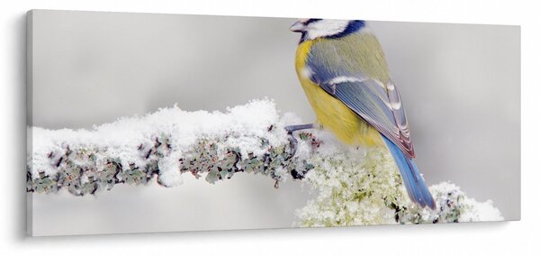 Slika - Sjenica (120x50 cm)