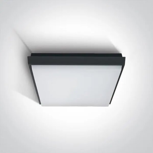 PLAFONJERA LED/30W/2500lm/3000K/230V IP54 ANTRACIT DM67363A/AN/W