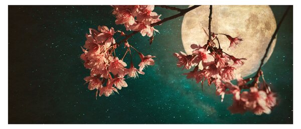 Slika - Sakura u punom mjesecu (120x50 cm)