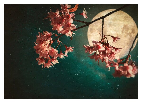 Slika - Sakura u punom mjesecu (70x50 cm)