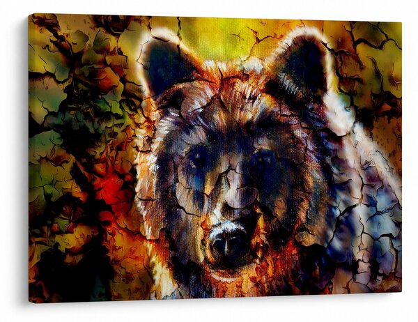 Slika - Slikani medvjed (70x50 cm)