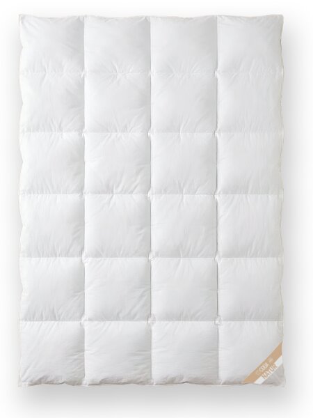 Poplun Down Duck Light 140x200 cm