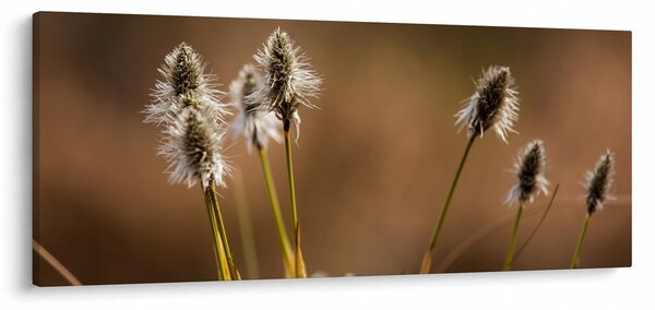 Slika - Trava (120x50 cm)
