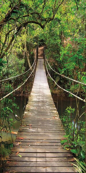 Fototapeta za vrata JUNGLE BRIDGE 86x200 cm