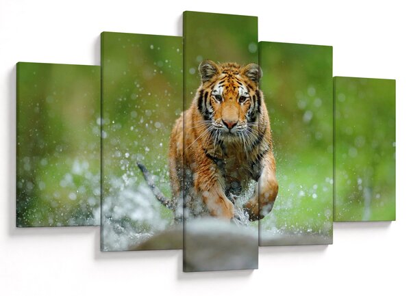 Slika - Tigar koji trči (150x105 cm)