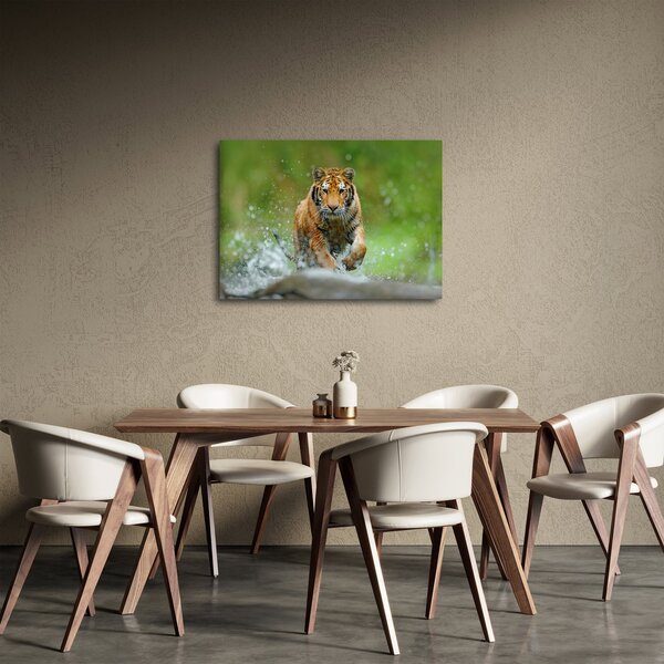 Slika - Tigar koji trči (70x50 cm)