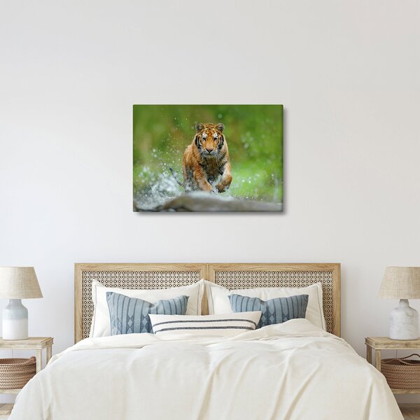 Slika - Tigar koji trči (70x50 cm)