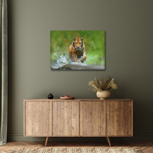 Slika - Tigar koji trči (70x50 cm)