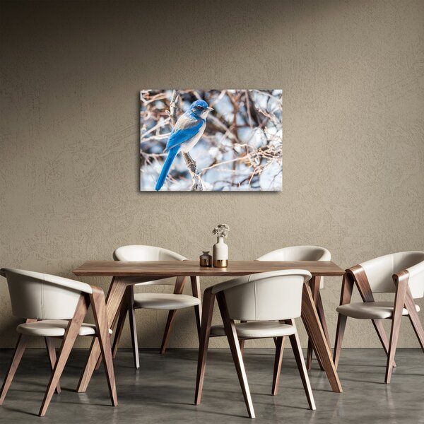 Slika - Zimska ptica (70x50 cm)