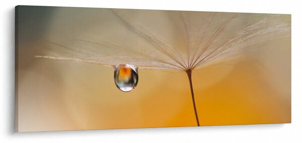 Slika - Makro cvijet (120x50 cm)