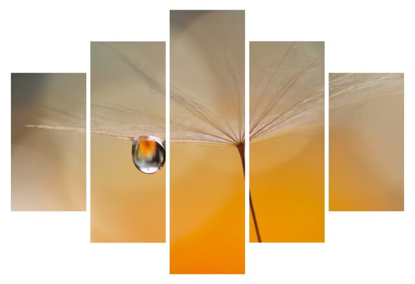 Slika - Makro cvijet (150x105 cm)