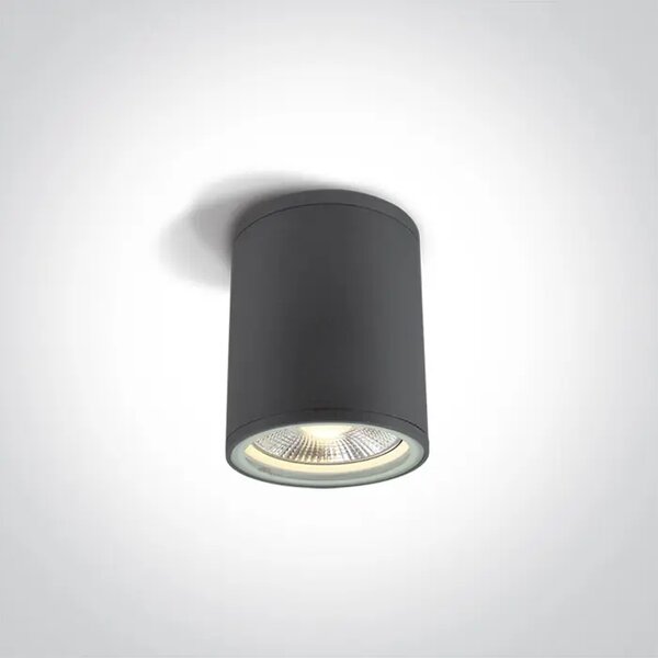 STROPNA SVJETILJKA 1×E27/75W/PAR30/230V IP54 ANTRACIT DM67132C/AN
