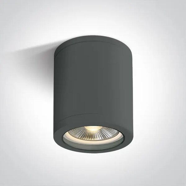 STROPNA SVJETILJKA E27 10w PAR30 IP65 ANTRACIT DM67142C/AN