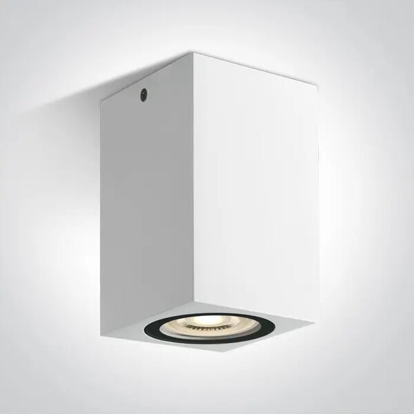 STROPNA SVJETILJKA 1×GU10/10W/230V IP65 BIJELA DM67142D/W
