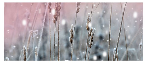 Slika - Trenutak (120x50 cm)