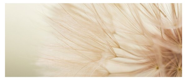 Slika - Detalji cvijeta (120x50 cm)