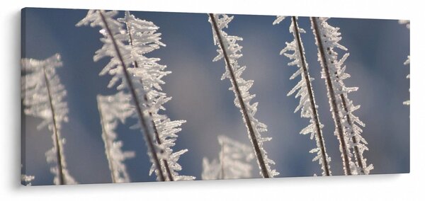 Slika - Mraz (120x50 cm)