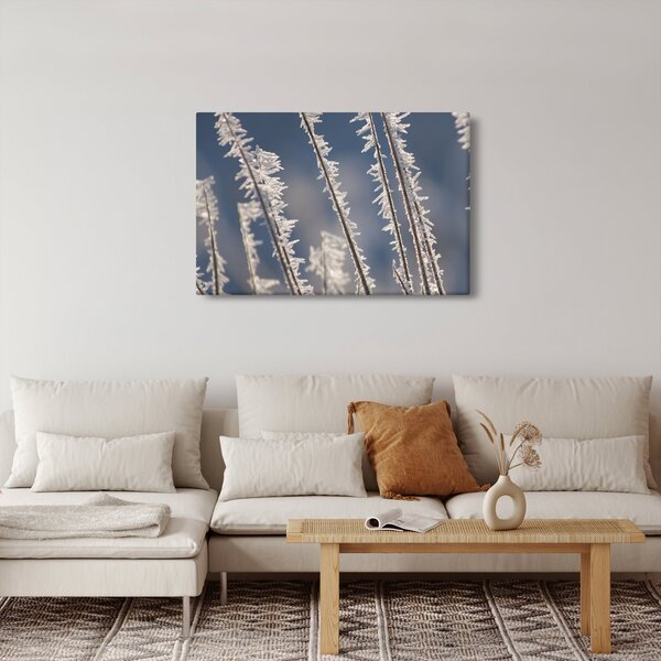 Slika - Mraz (90x60 cm)