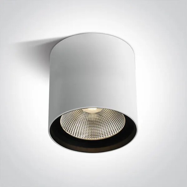 STROPNA SVJETILJKA LED/40W/3000K/3200lm/40°/230V IP65 fi160×183mm BIJELA DM67516C/W/W
