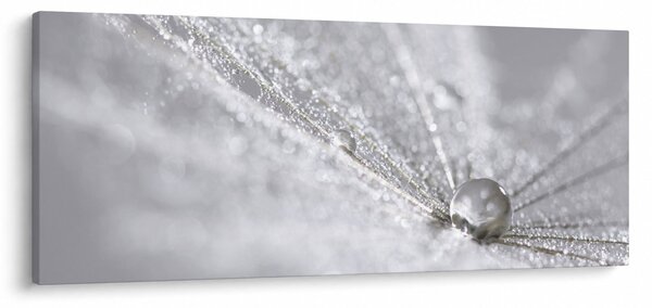 Slika - Kap vode (120x50 cm)