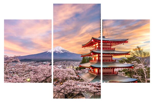 Slika - Fuji, Japan (90x60 cm)