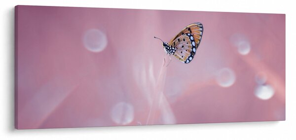 Slika - Leptirić (120x50 cm)