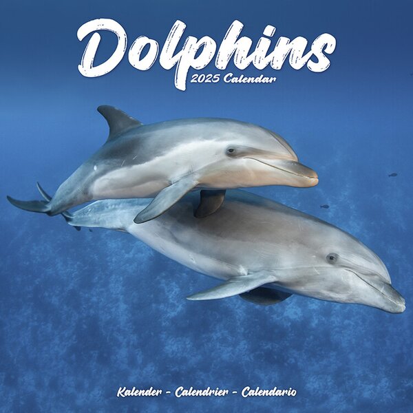 Kalendar 2025 Dolphins