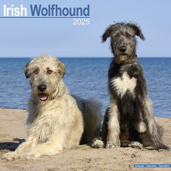 Kalendar 2025 Irish Wolfhound