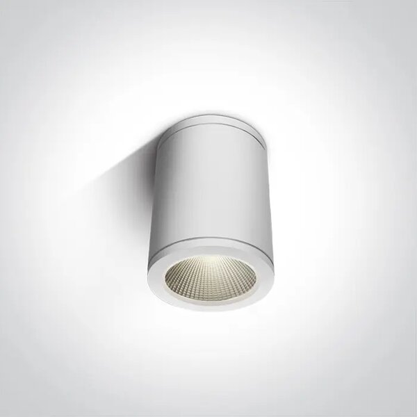 STROPNA SVJETILJKA LED/6W/3000K/440lm/35°/240V IP54 BIJELA DM67138C/W/W