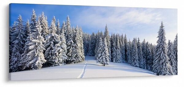 Slika - Zima u šumi (120x50 cm)