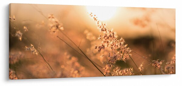 Slika - Trava na suncu (120x50 cm)