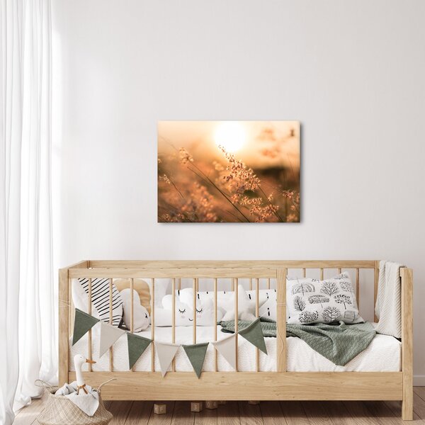 Slika - Trava na suncu (70x50 cm)