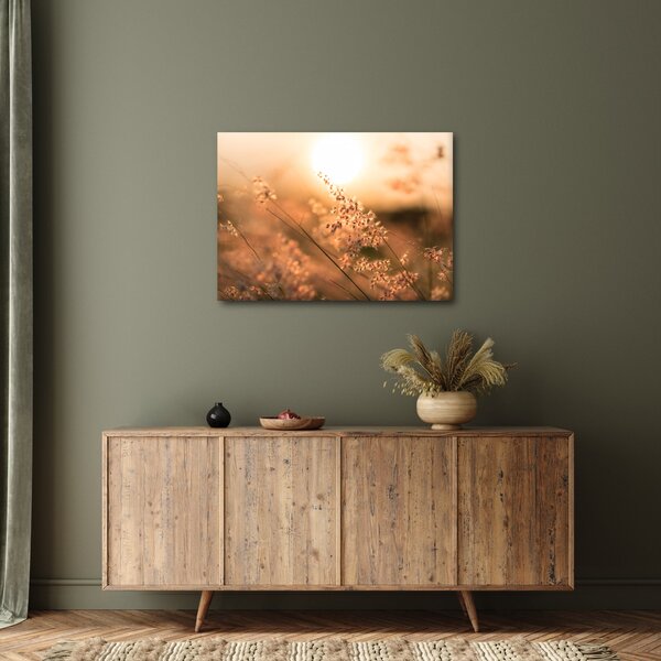 Slika - Trava na suncu (70x50 cm)