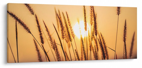 Slika - Trave na suncu (120x50 cm)