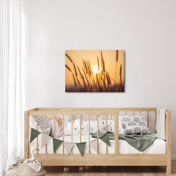 Slika - Trave na suncu (70x50 cm)