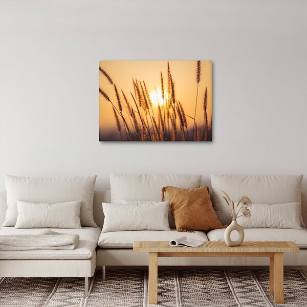 Slika - Trave na suncu (70x50 cm)