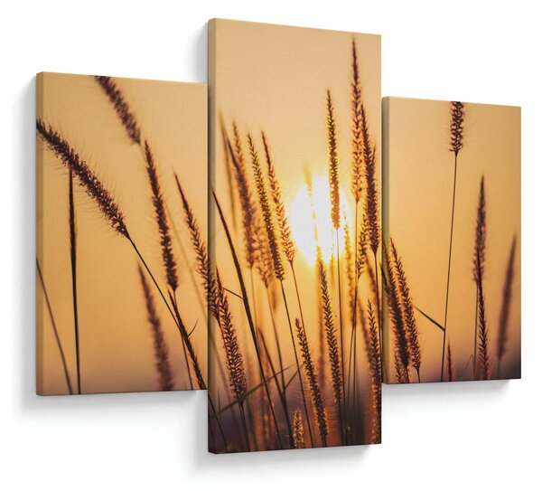 Slika - Trave na suncu (90x60 cm)