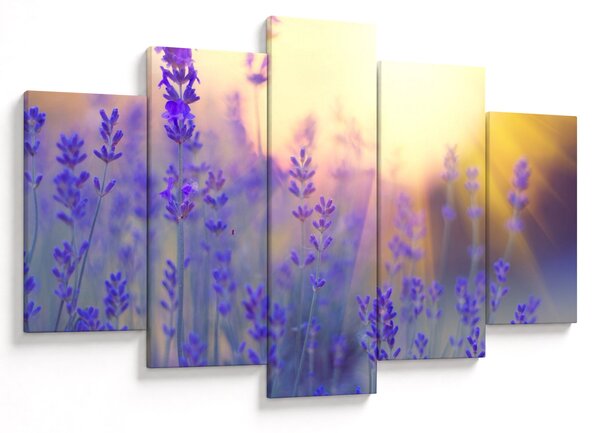 Slika - Lavanda (150x105 cm)