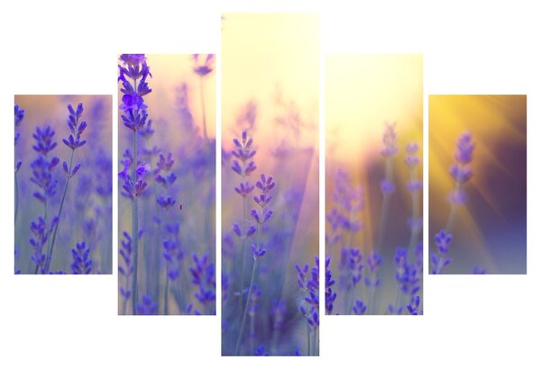 Slika - Lavanda (150x105 cm)