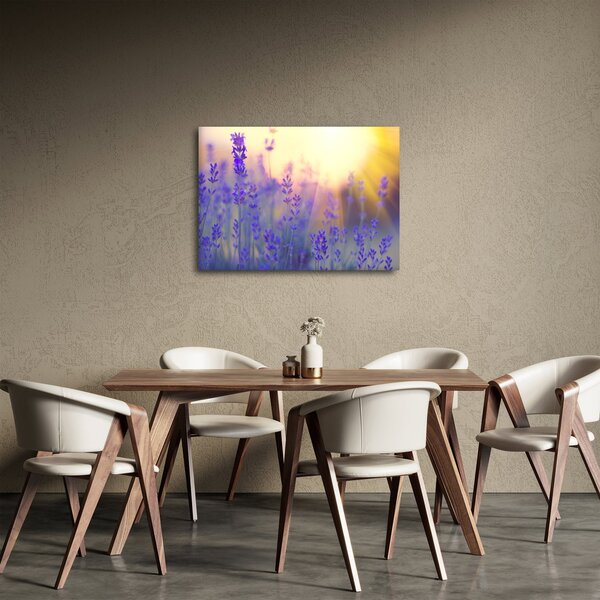 Slika - Lavanda (70x50 cm)