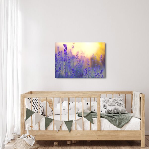 Slika - Lavanda (70x50 cm)
